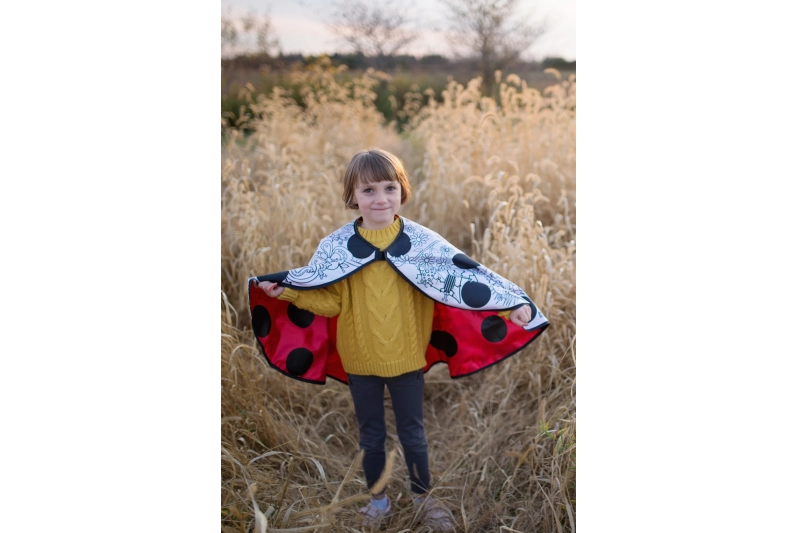 Capa per pintar reversible de marieta