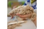 Kinetic Sand 5 kg