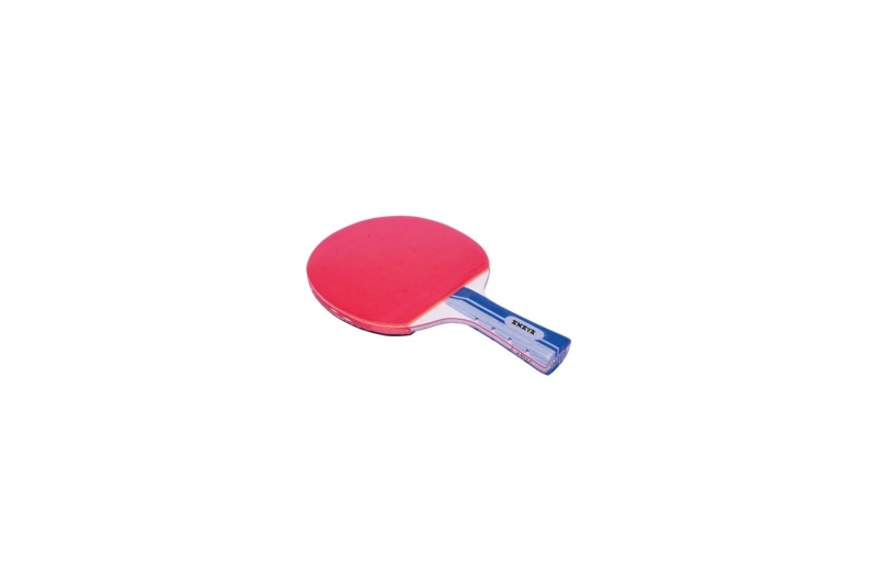 Raqueta de ping pong Tenis taula