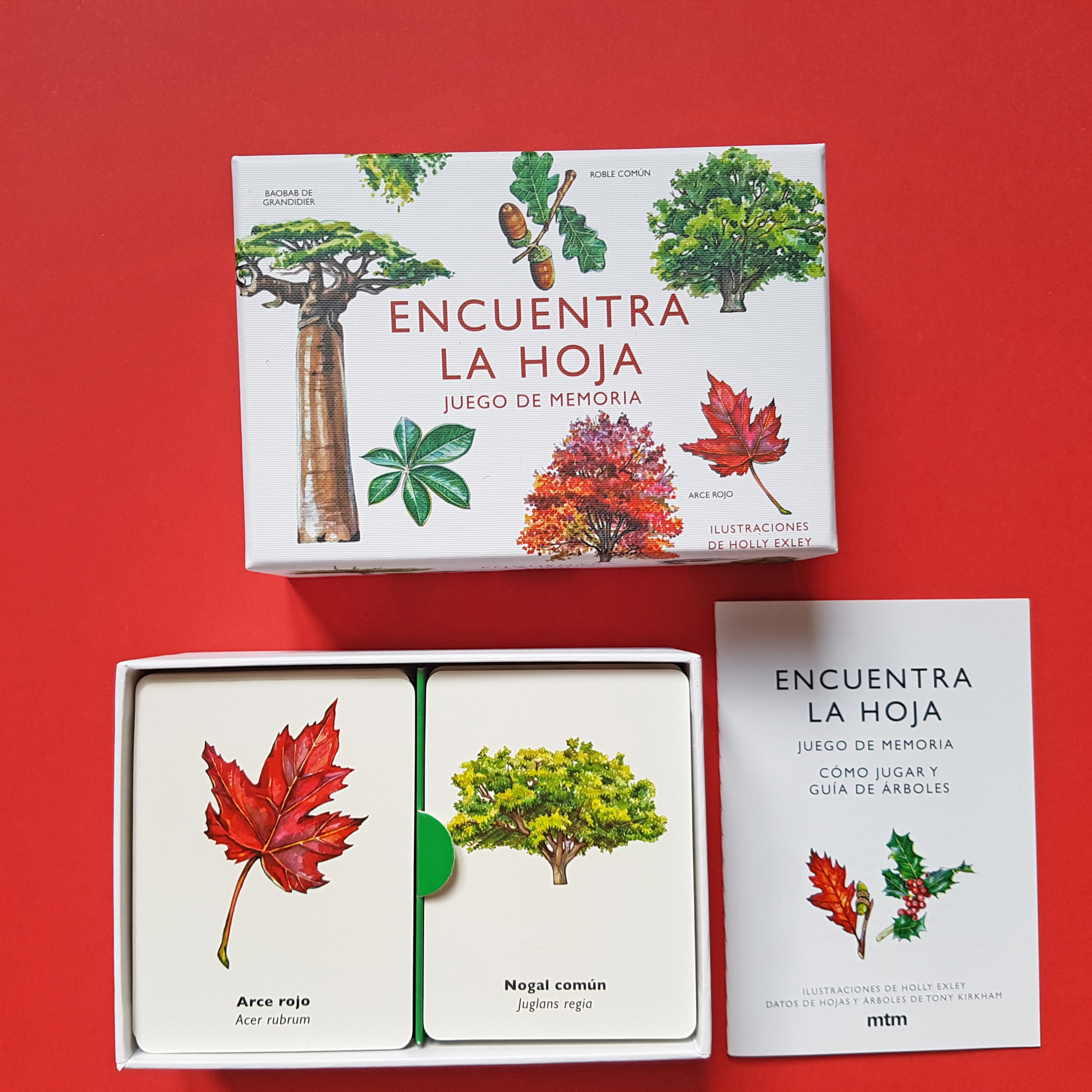 Encuentra la Hoja (ed. castellà)