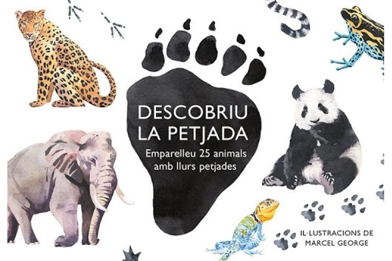 Descobriu la petjada (ed. català)