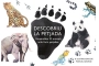 Descobriu la petjada (ed. català)
