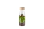 Ampolla sensorial spy bottle jungle