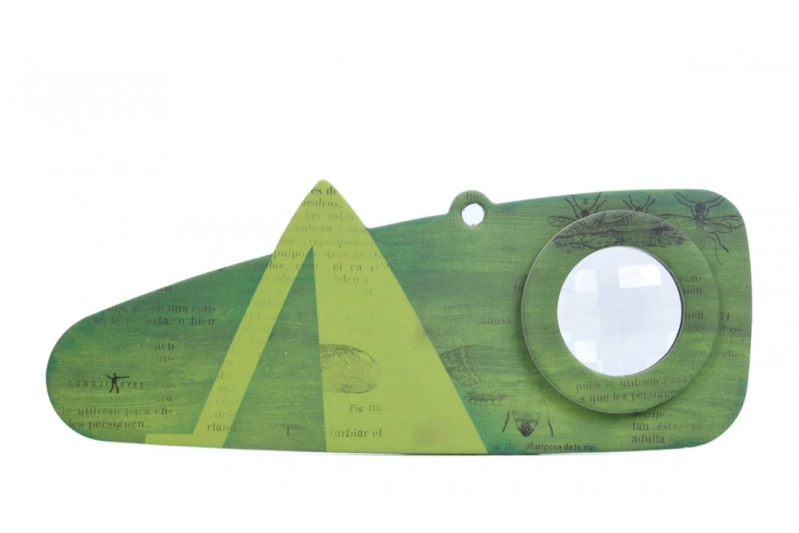 Insect eyes saltamontes