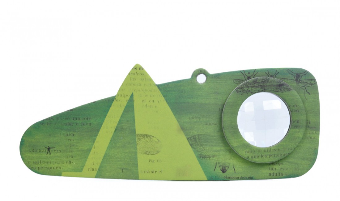 Insect eyes salta marti