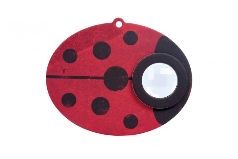 Insect eye mariquita