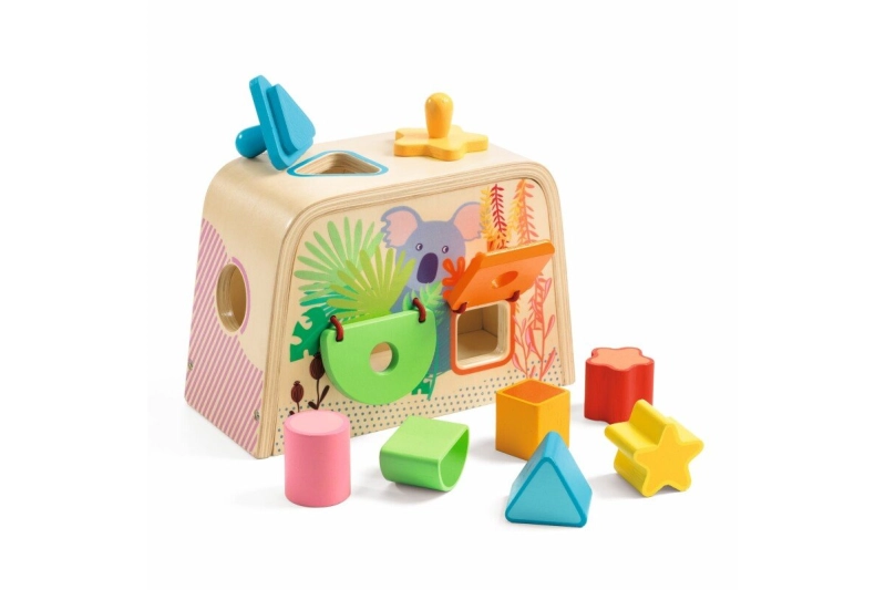 Caixa de multi activitats Boita