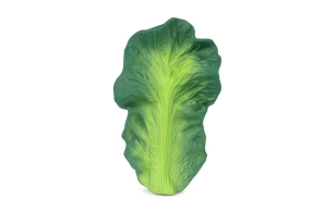 Mordedor Kendall The Kale OLI&CAROL