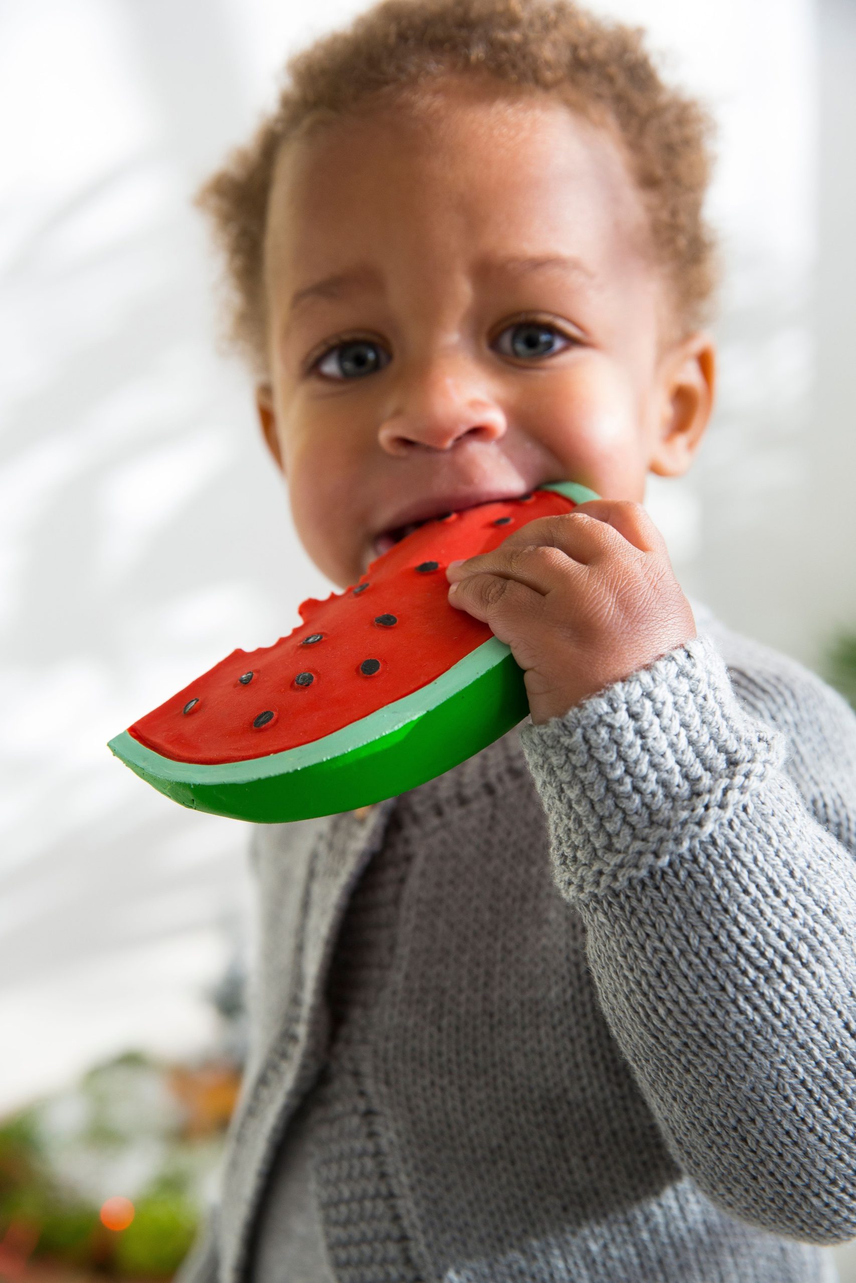 MOSSEGADOR WALLY THE WATERMELON OLI&CAROL