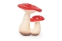 MORDEDOR SPOT THE MUSHROOM OLI&CAROL