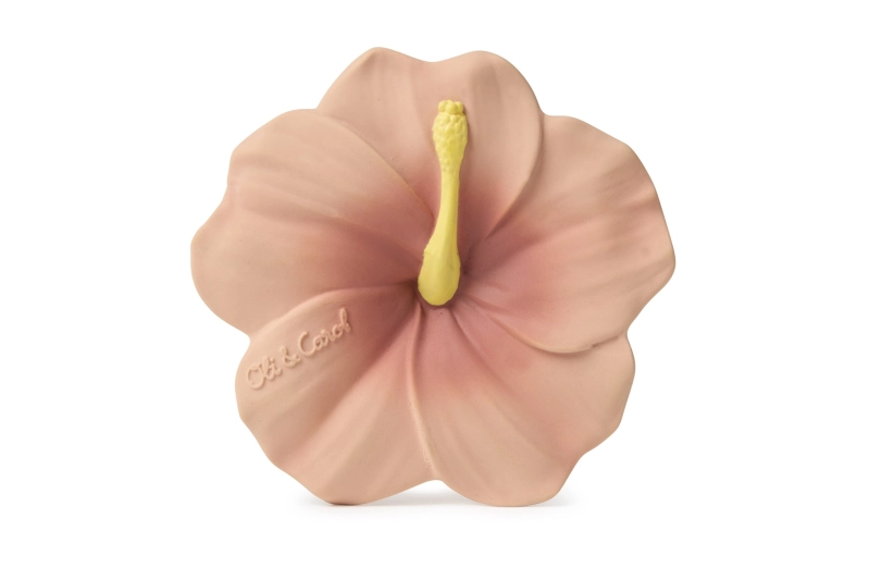 MOSSEGADOR IRIS THE HIBISCUS OLI&amp;CAROL