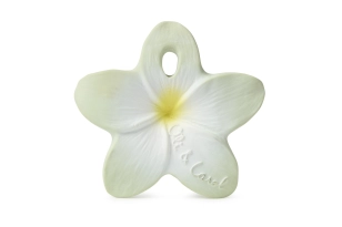 MOSSEGADOR XUMET BALI THE FLOWER OLI&amp;CAROL