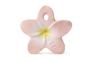 MOSSEGADOR XUMET BELLA THE FLOWER OLI&amp;CAROL