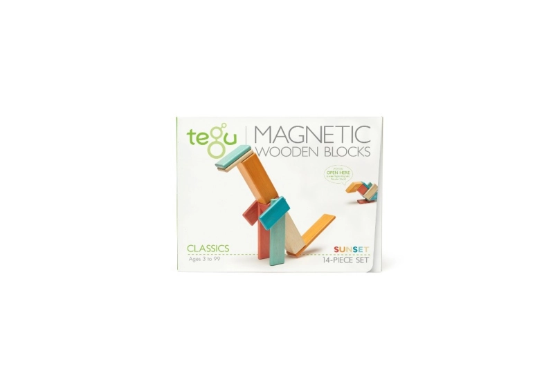 Tegu Blocs de fusta magnètics