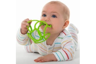 Bolli bola mossegadora