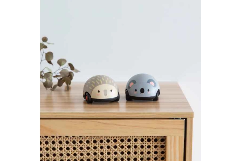 El Koala y el Erizo Zoomies