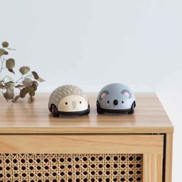 El Koala i l'eriçó Zoom