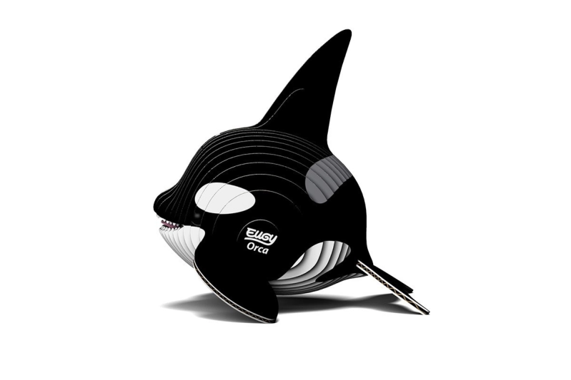 Eugy Orca