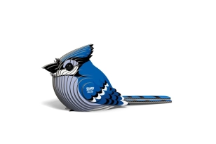 Eugy Blue Jay