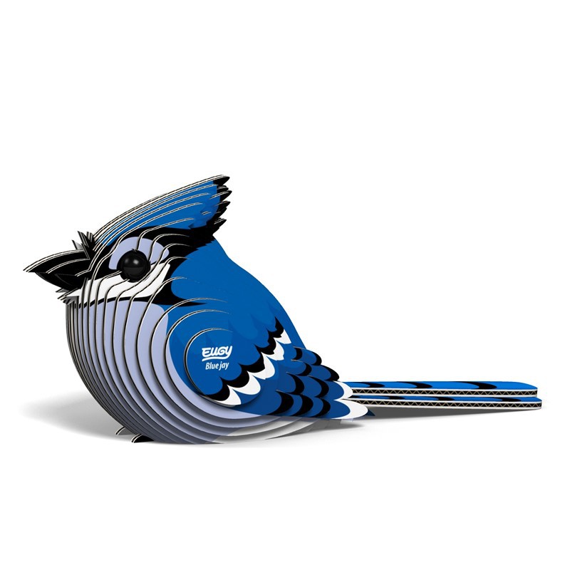 Eugy Blue Jay