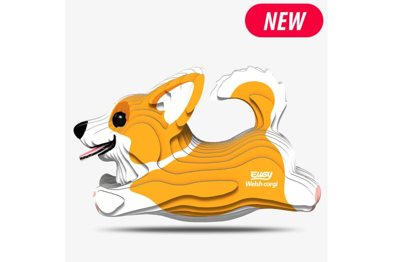 Eugy gos Corgi Galés