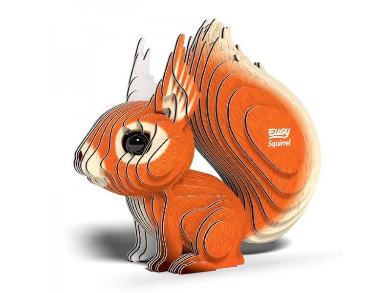 Eugy Ardilla Arborícola