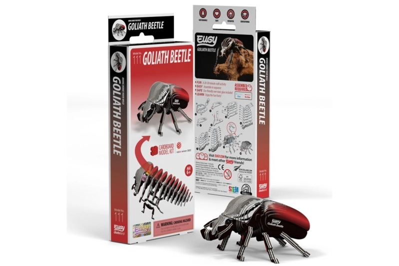 Eugy Goliath Beetle (Escarabat Goliat)