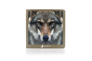 Els Animals salvatges 2