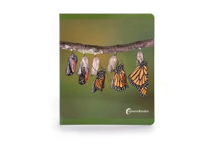 Els Cicles de la Vida Nowordbooks