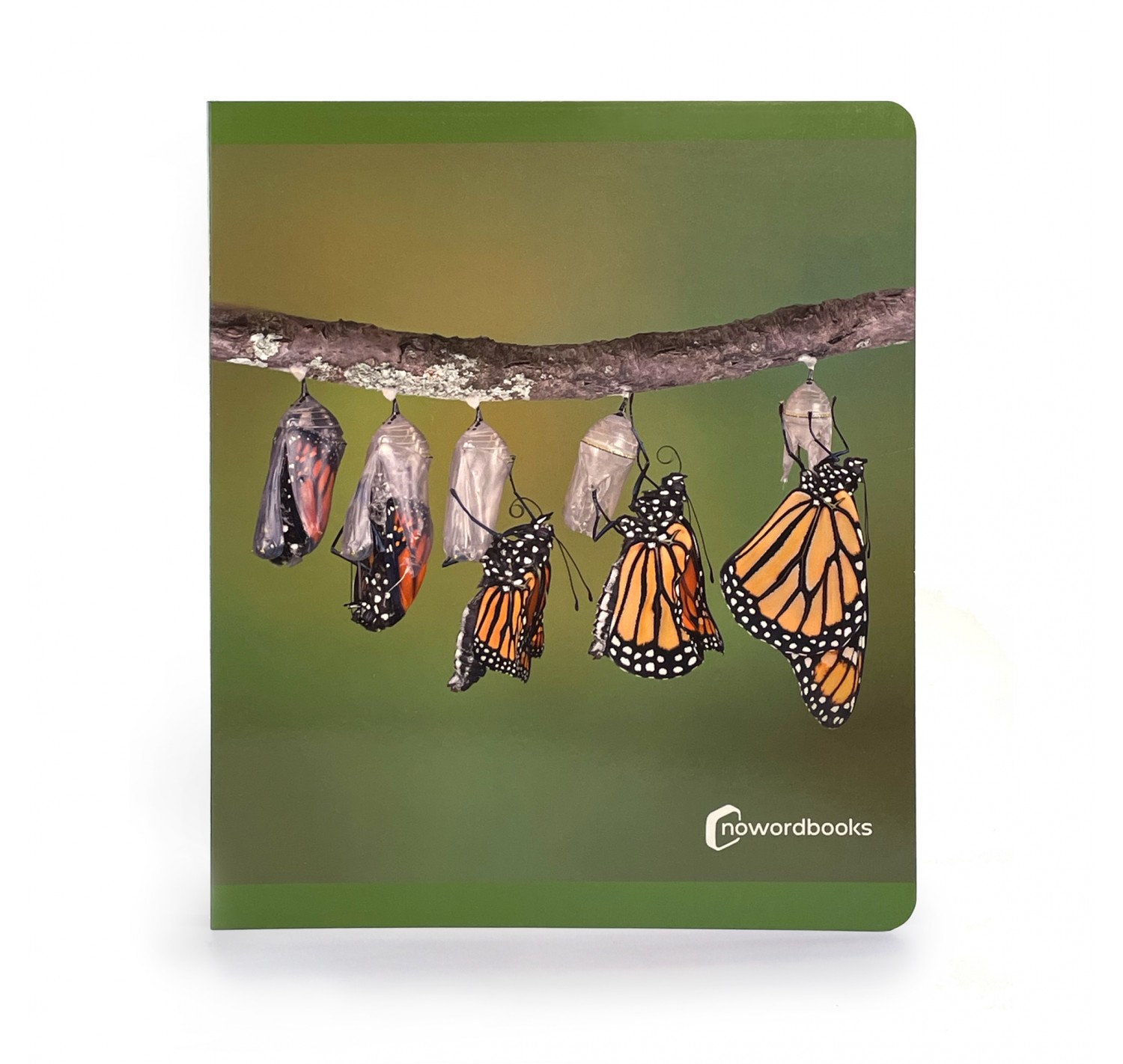 Los Ciclos de la Vida