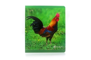 Animals de Granja. Format gran