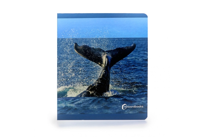 Los Animales marinos. Nowordbooks Formato grande