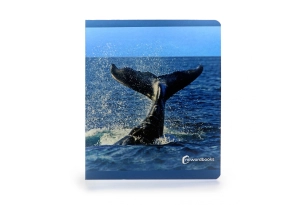 Animals marins. Format gran