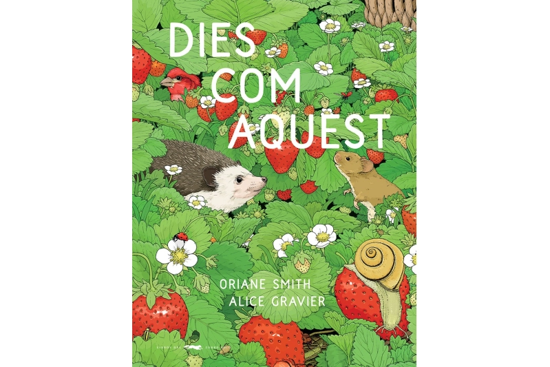 DIES COM AQUEST (ed. catalán)