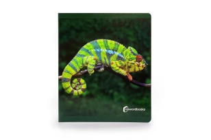 Els Animals de la Selva. Format gran