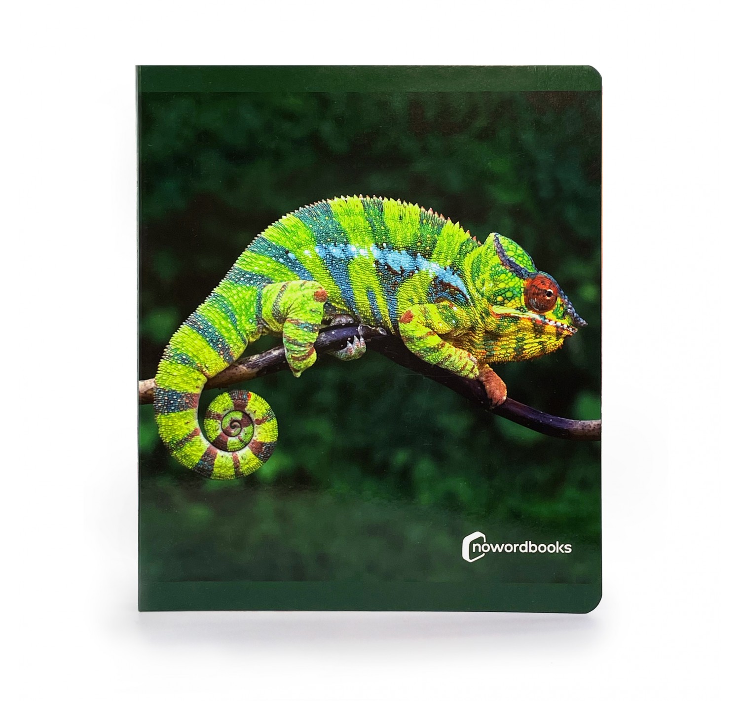 Els Animals de la Selva. Format gran