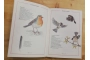 Inventario ilustrado de aves