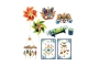DIY Capsa multiactivitats Màscares Natura