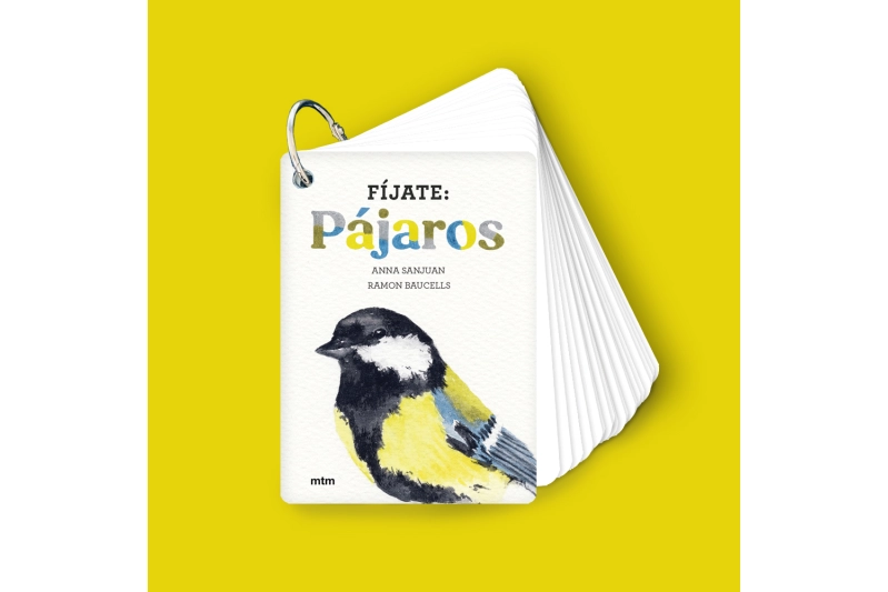 Fíjate: Pájaros
