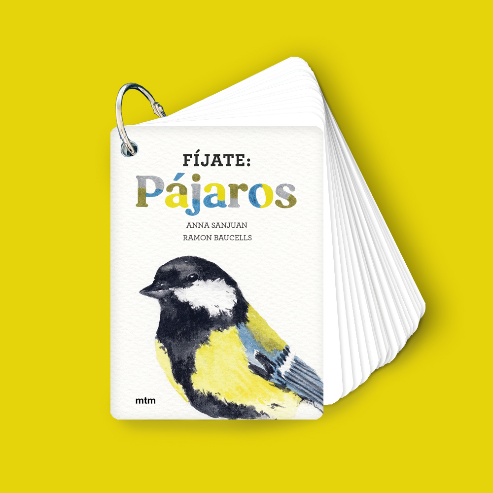 Fíjate: Pájaros