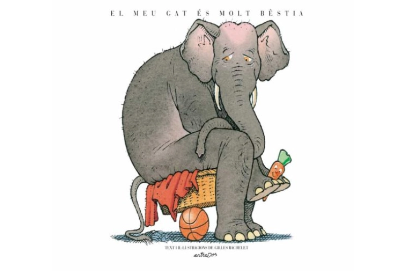 El meu gat és molt bèstia