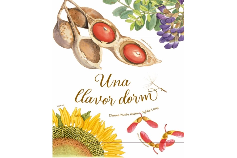 Una llavor dorm (ed. català)