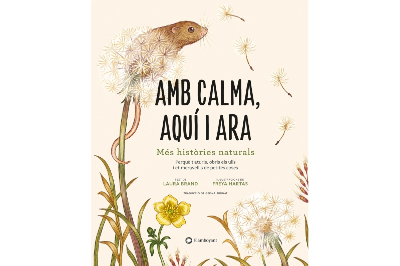 Amb calma, aquí i ara