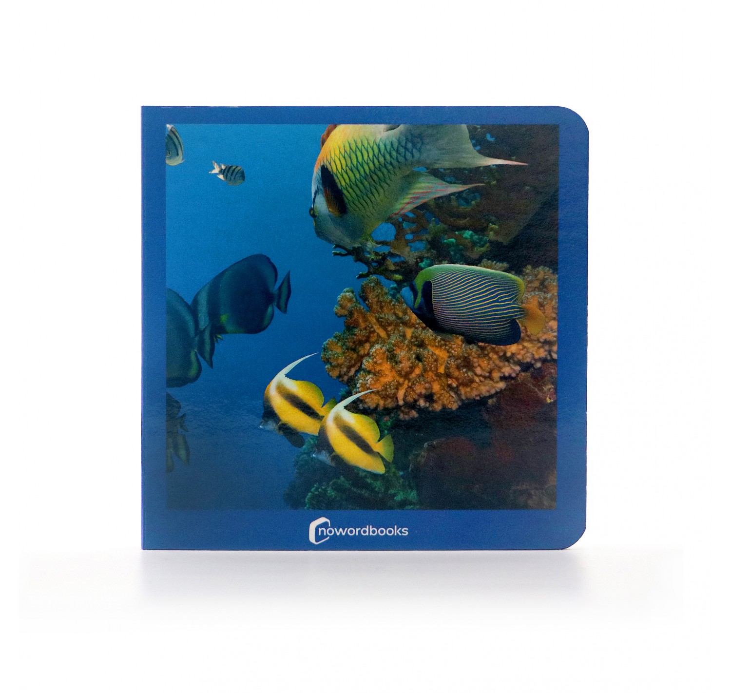 Animals marins cartró Nowordbooks