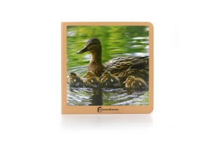 Animals en família 1