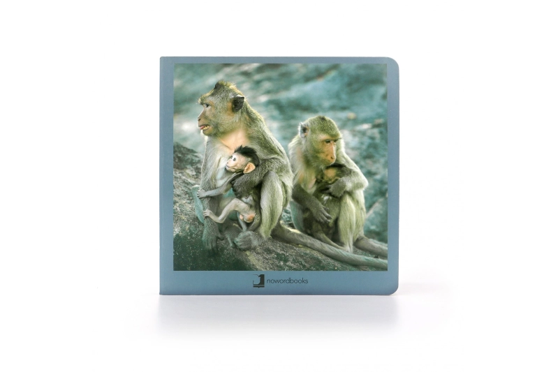 Animales en familia 2 Nowordbooks