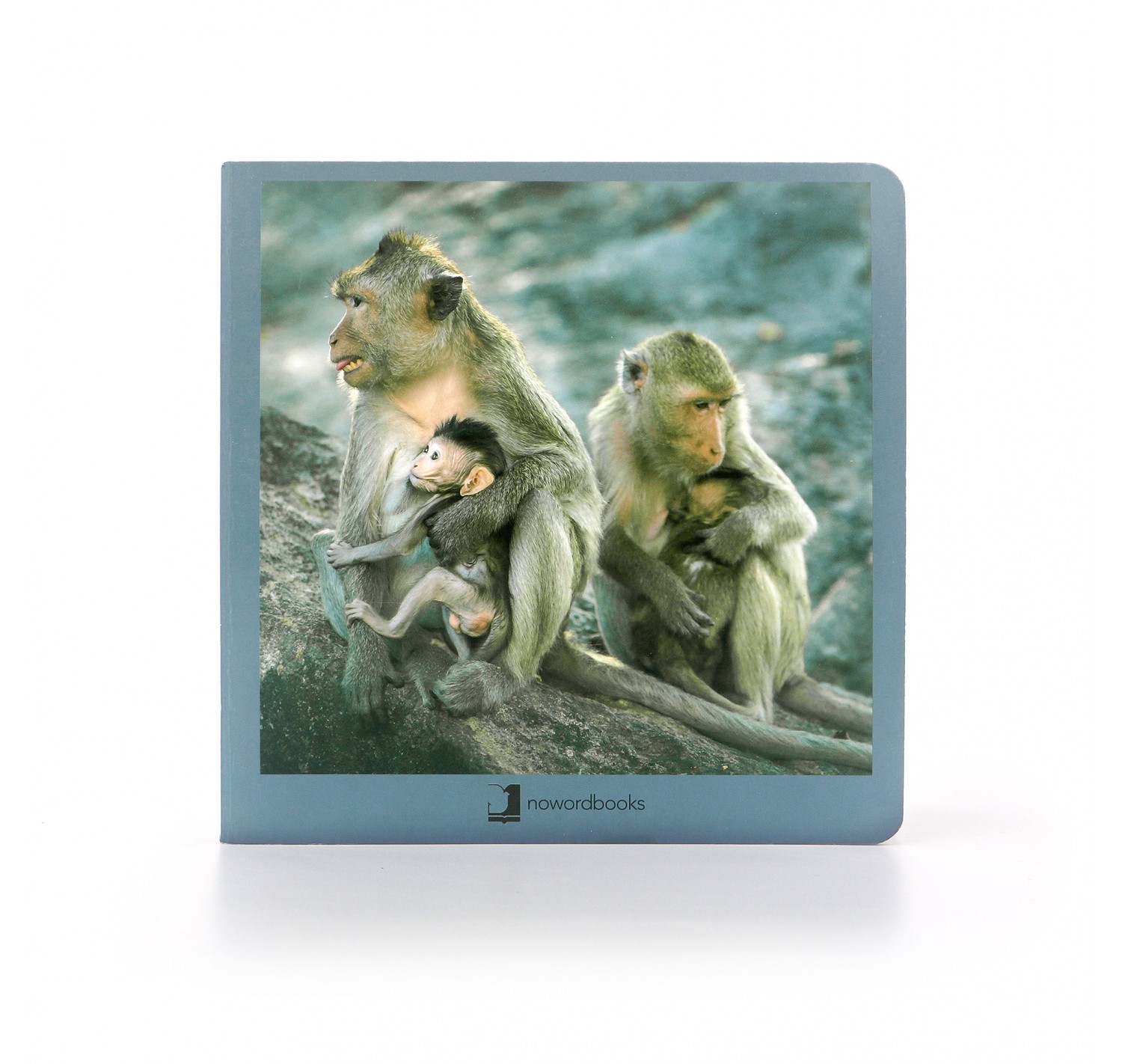 Animales en familia 2 Nowordbooks