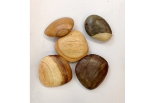 Pedra de fusta Papoose