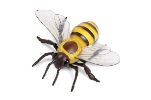 Abella de mel Safari