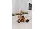 Tricicle -Bici Tiny Tot 2 en 1